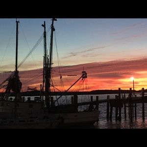 Meet your Posher, Gloria